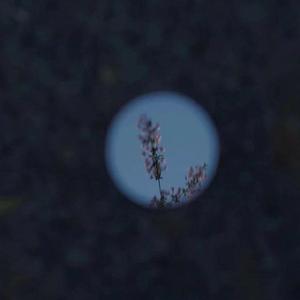 校园春色亚州av
